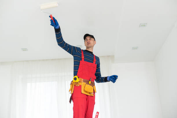 Best Repainting for Renovations  in Marshall, IL