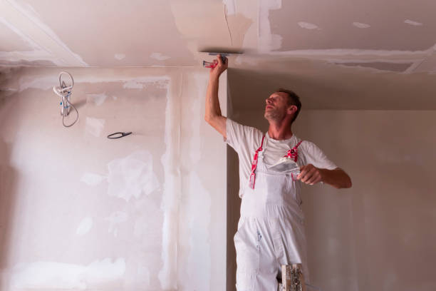 Best Drywall Sanding and Smoothing  in Marshall, IL